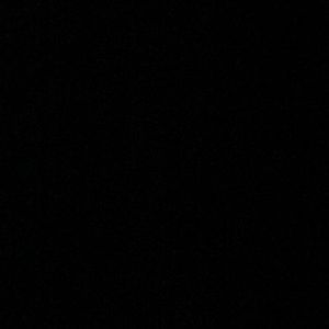 Meet your Posher, Randall